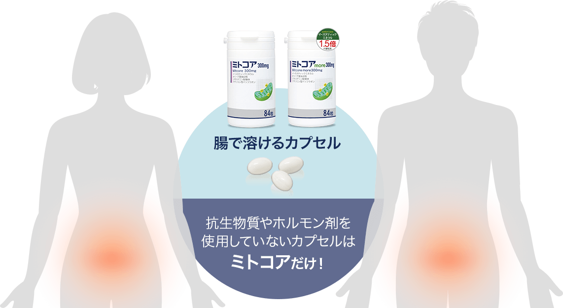 ミトコア300mg・ミトコアmore300mgの特殊なカプセル