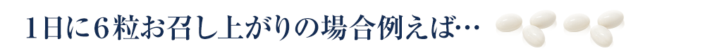 1日6粒お召し上がりの場合