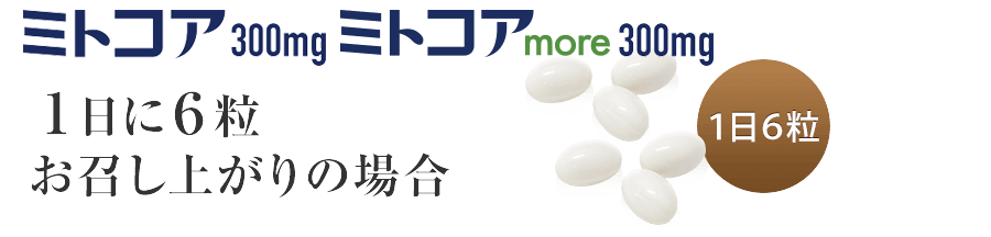 1日6粒お召し上がりの場合