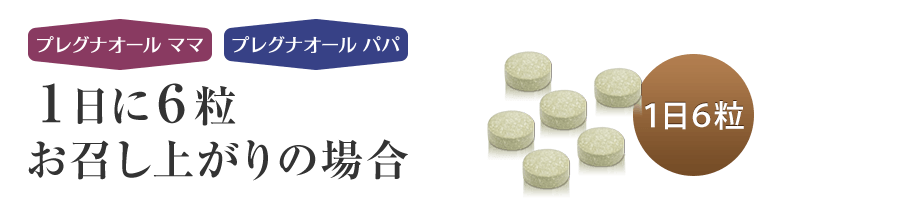 1日6粒お召し上がりの場合