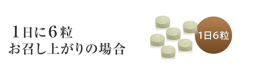 1日6粒お召し上がりの場合