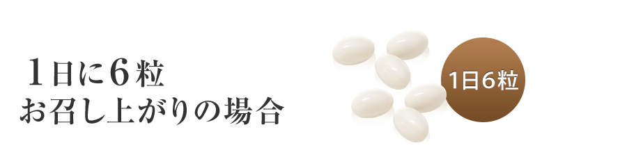 1日6粒お召し上がりの場合