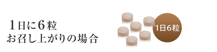 1日6粒お召し上がりの場合