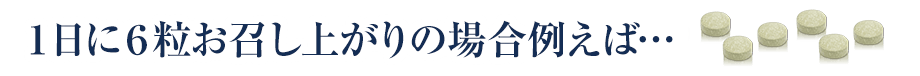 1日6粒お召し上がりの場合
