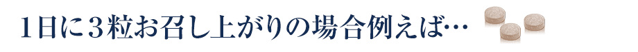 1日3粒お召し上がりの場合