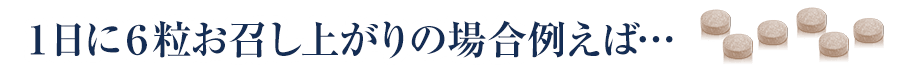 1日6粒お召し上がりの場合