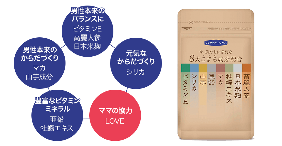 プレグナオールパパ