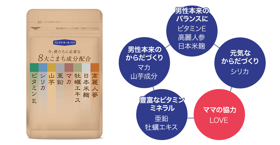 プレグナオールパパ